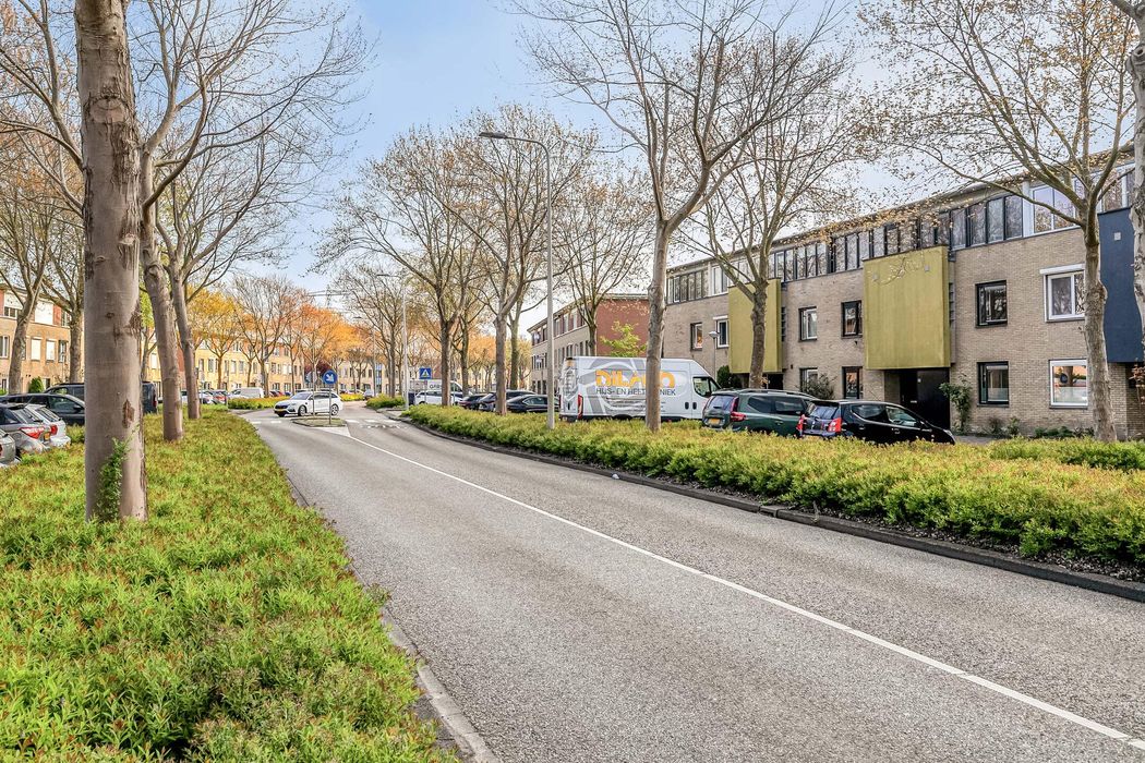 Annie van Hattemstraat 20, SPIJKENISSE foto 36