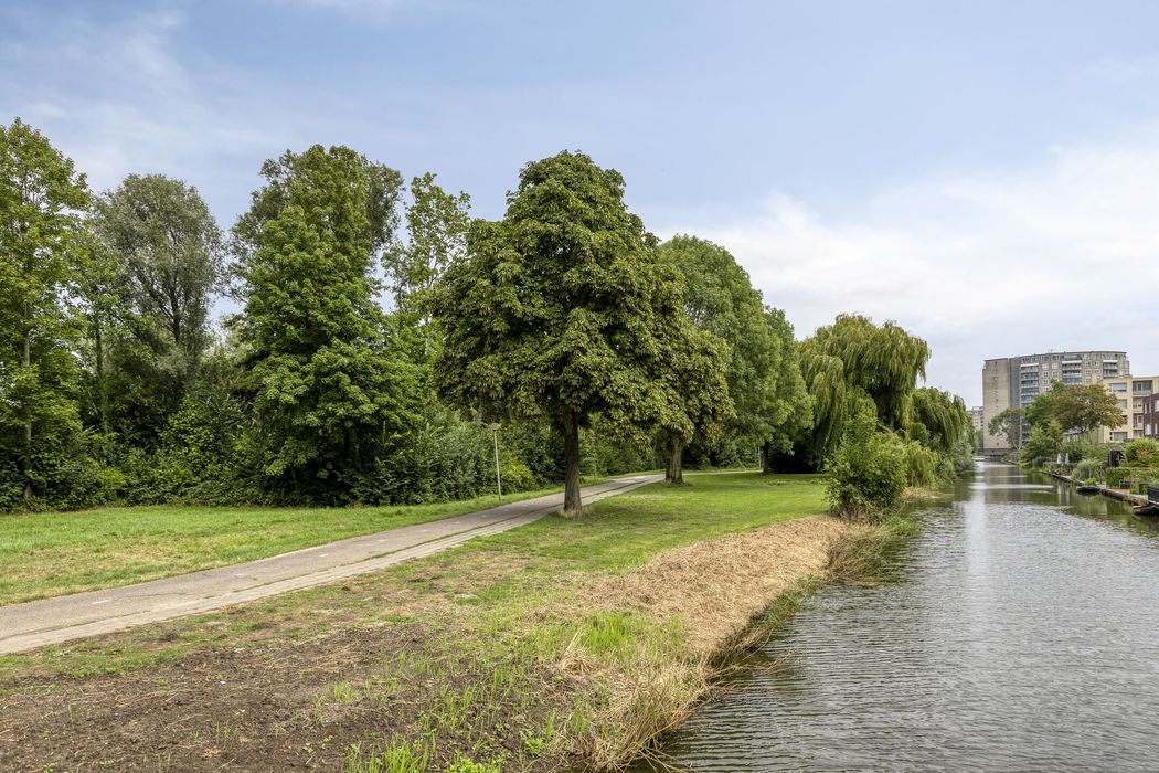 Kometenstraat 117, SPIJKENISSE foto 3