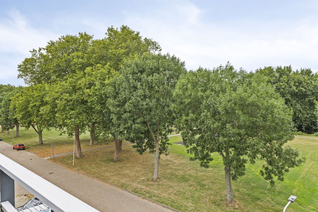 Piet Mondriaanpad 25, SPIJKENISSE foto 25