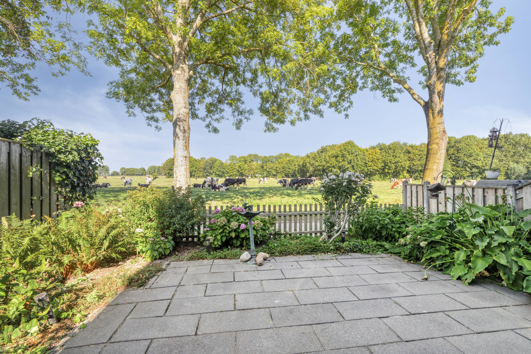 Burggraafstraat 1, HEENVLIET foto 19