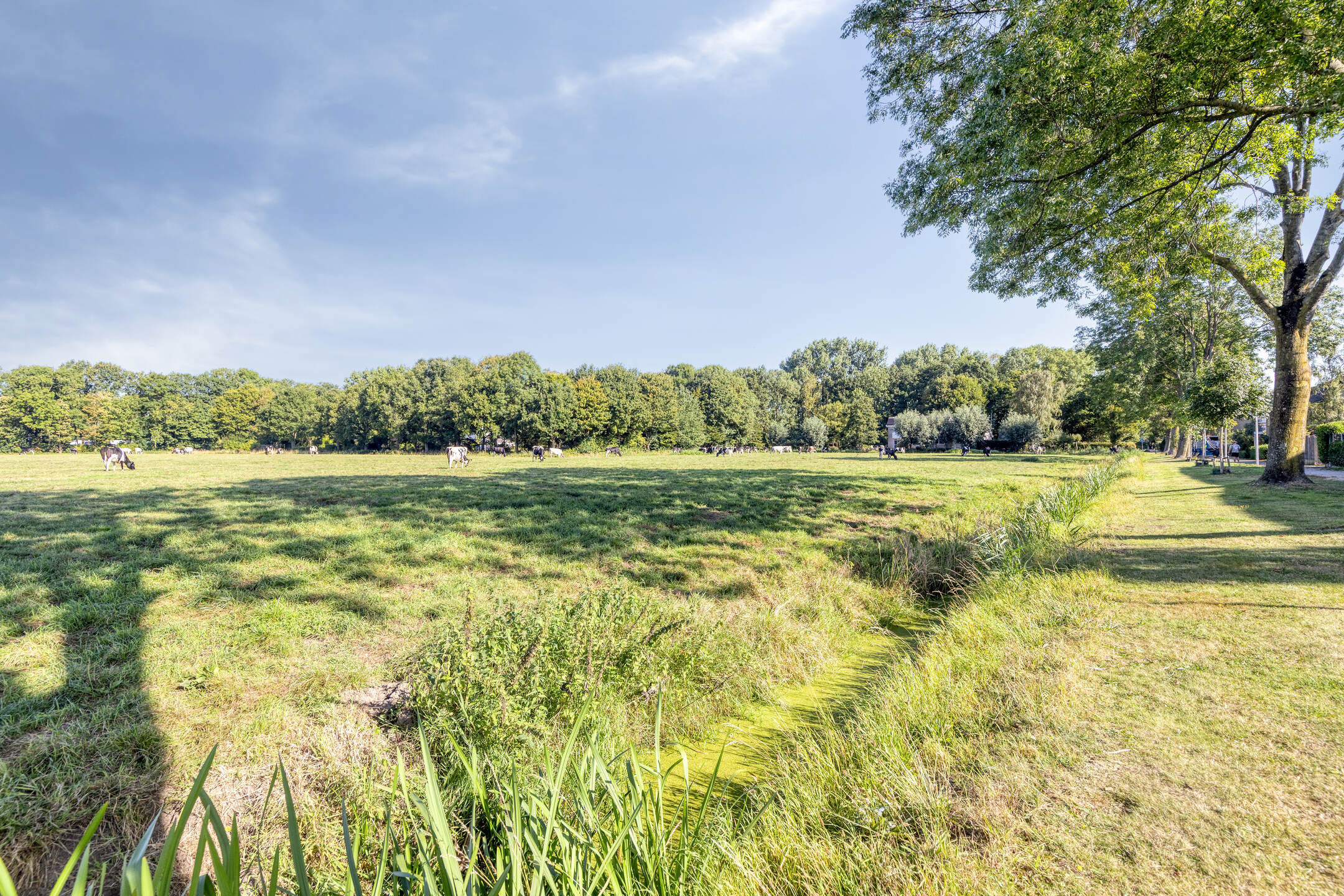 Burggraafstraat 1, HEENVLIET foto 26