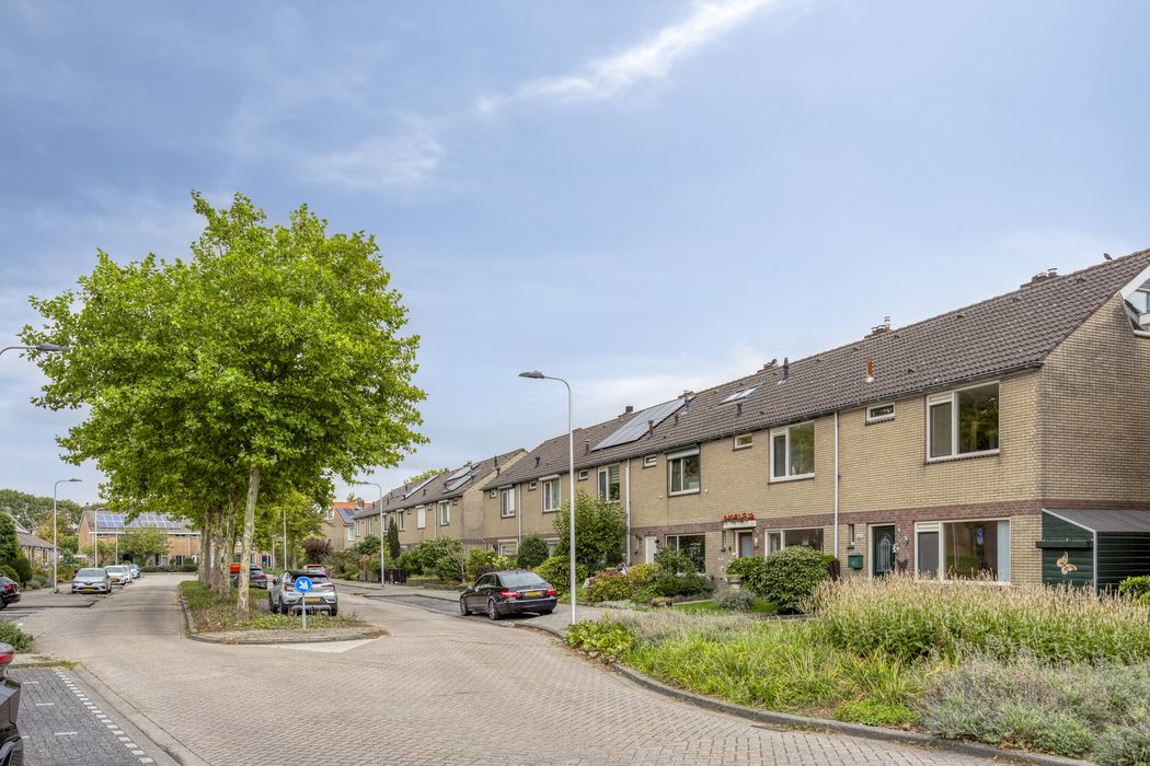 Polderlaan 121, GEERVLIET foto 25