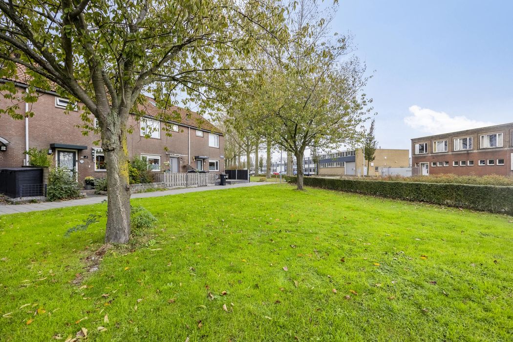 Rimonpad 4, ROTTERDAM foto 32