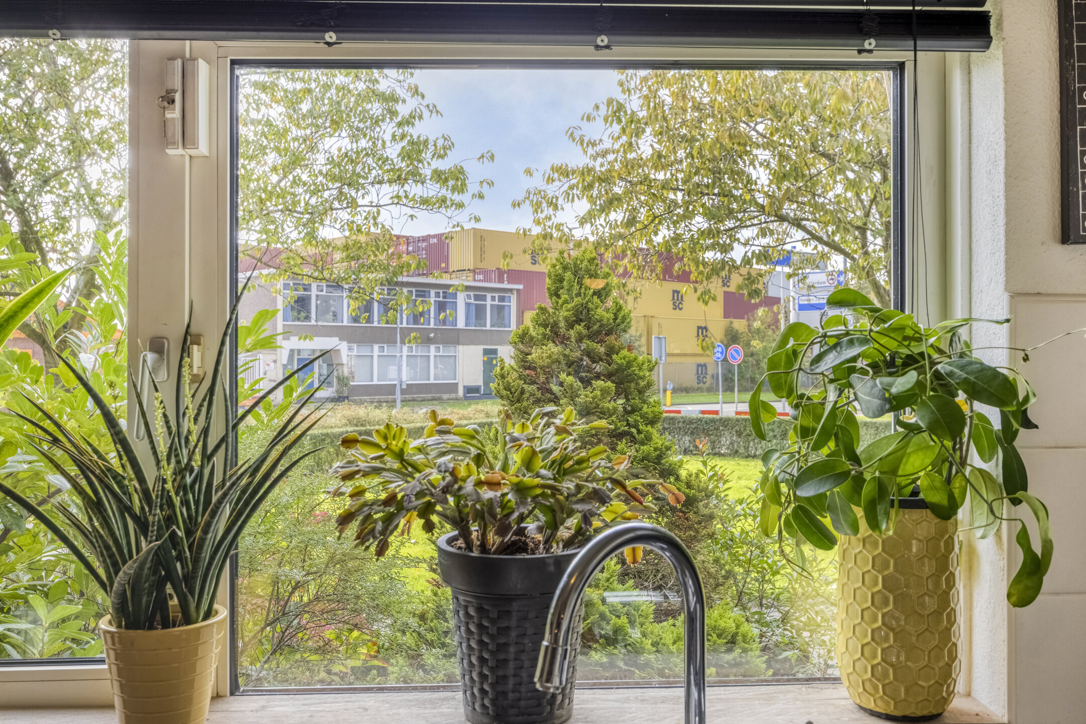 Rimonpad 4, ROTTERDAM foto 8