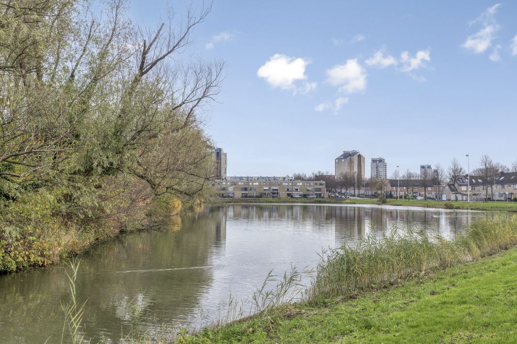 Donaulaan 30, SPIJKENISSE foto 23