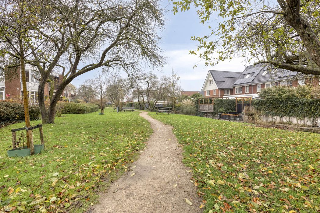 D. de Koninglaan 5, HEKELINGEN foto 36