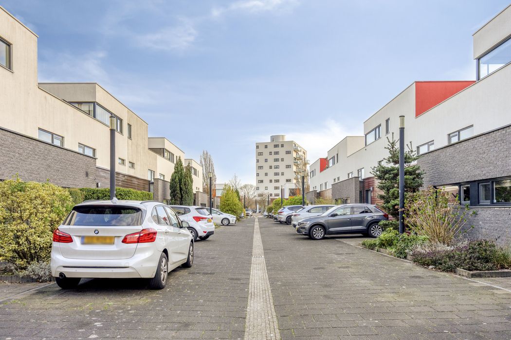 D. Schellincxstraat 31, SPIJKENISSE foto 49