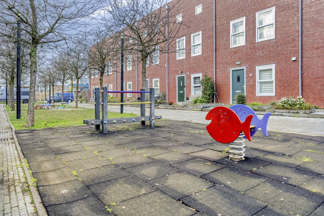 D. Schellincxstraat 31, SPIJKENISSE foto 53