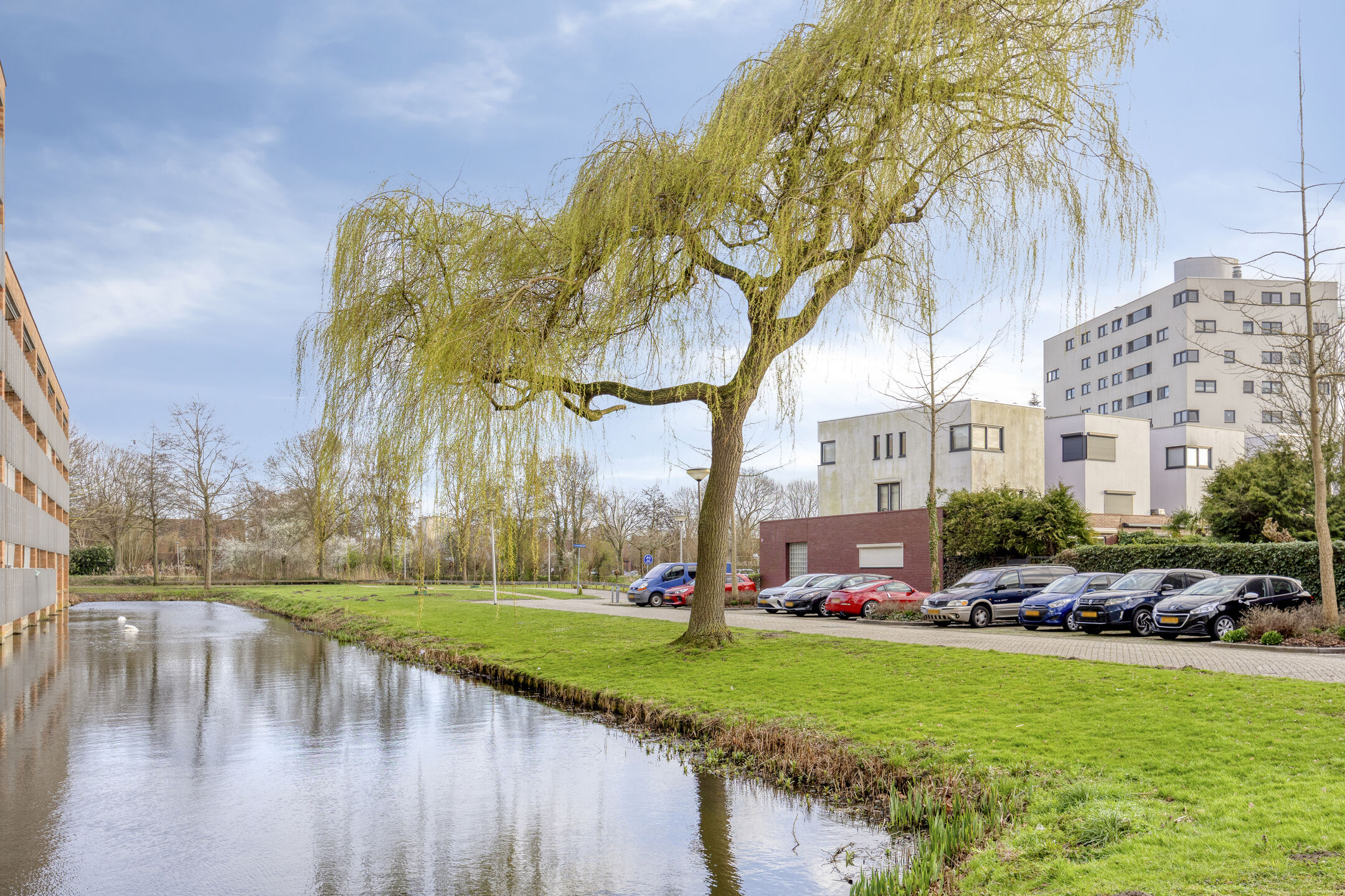 D. Schellincxstraat 31, SPIJKENISSE foto 55