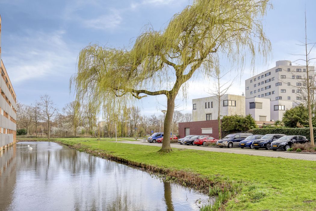 D. Schellincxstraat 31, SPIJKENISSE foto 55