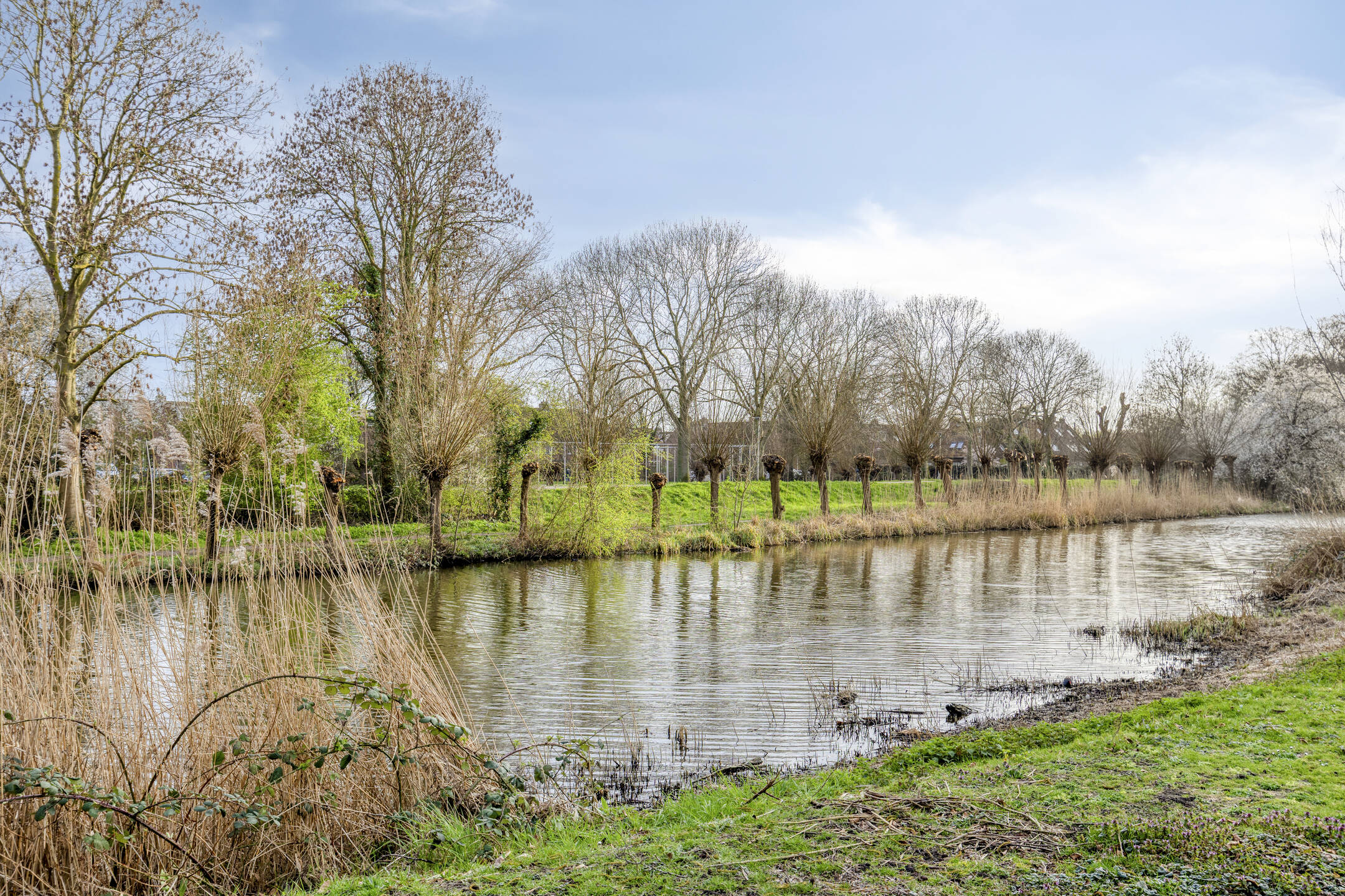 D. Schellincxstraat 31, SPIJKENISSE foto 56