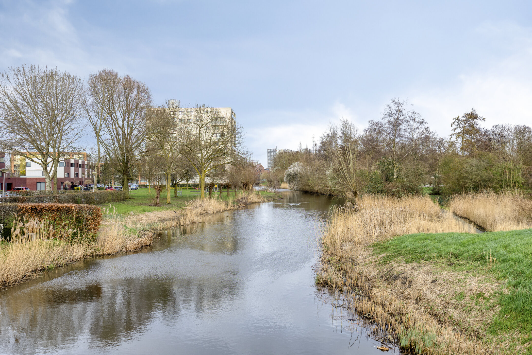 D. Schellincxstraat 31, SPIJKENISSE foto 58