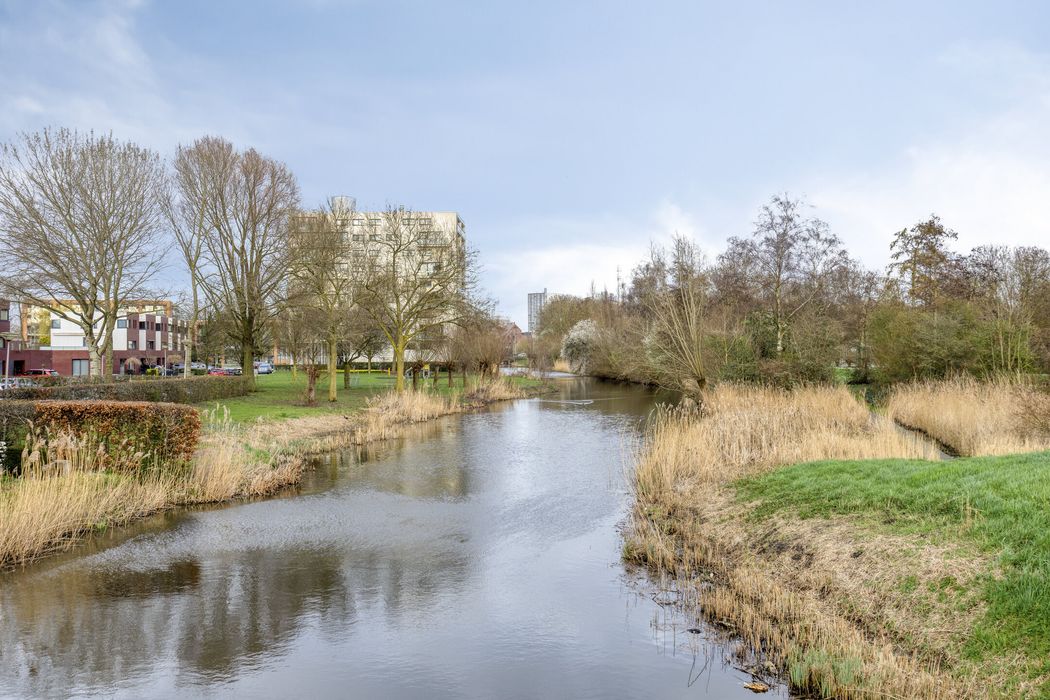 D. Schellincxstraat 31, SPIJKENISSE foto 58