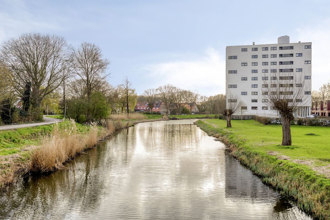 D. Schellincxstraat 31, SPIJKENISSE foto 59