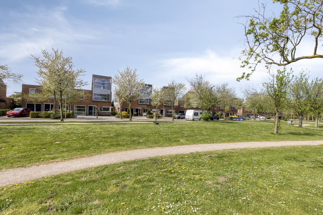 Mildenburgallee 114, SPIJKENISSE foto 43