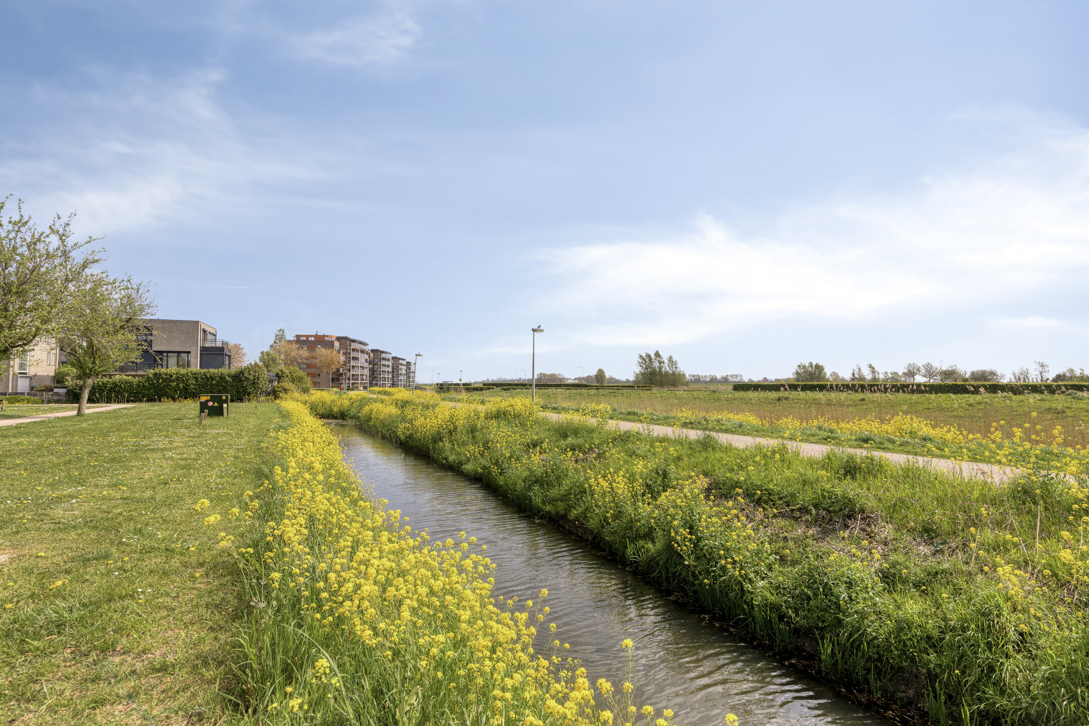 Mildenburgallee 114, SPIJKENISSE foto 41