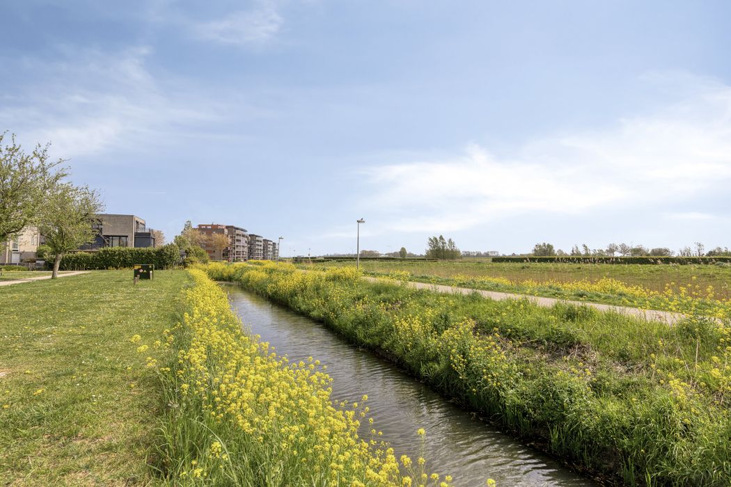 Mildenburgallee 114, SPIJKENISSE foto 41