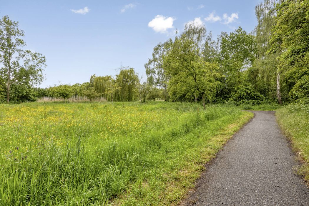Vlinderveen 437, SPIJKENISSE foto 42