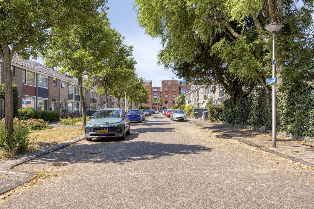Violierstraat 19, SPIJKENISSE foto 28