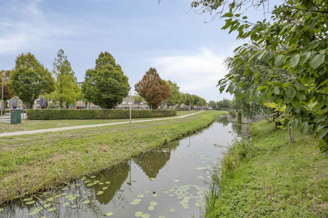 Nemelaerlaan 14, SPIJKENISSE foto 51