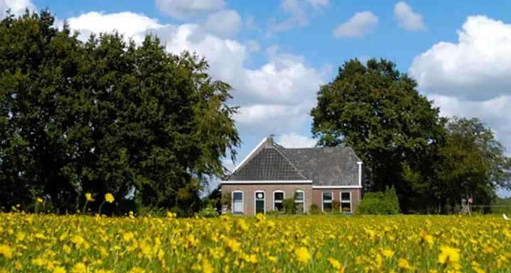 Grond wordt goed betaald, melkveehouderij in trek