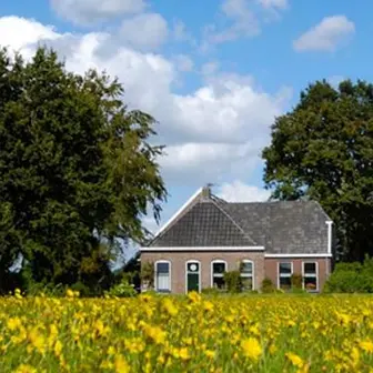 Grond wordt goed betaald, melkveehouderij in trek