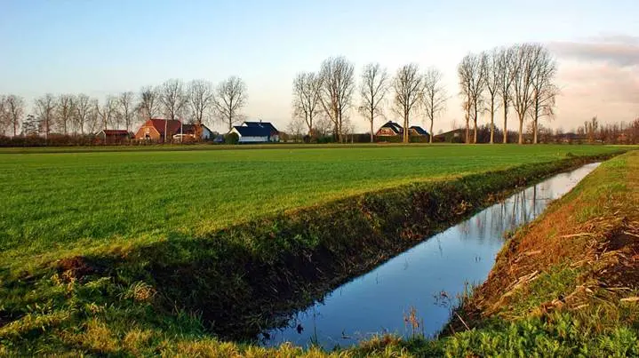 Meer dynamiek door grondhonger en overheidsmaatregelen