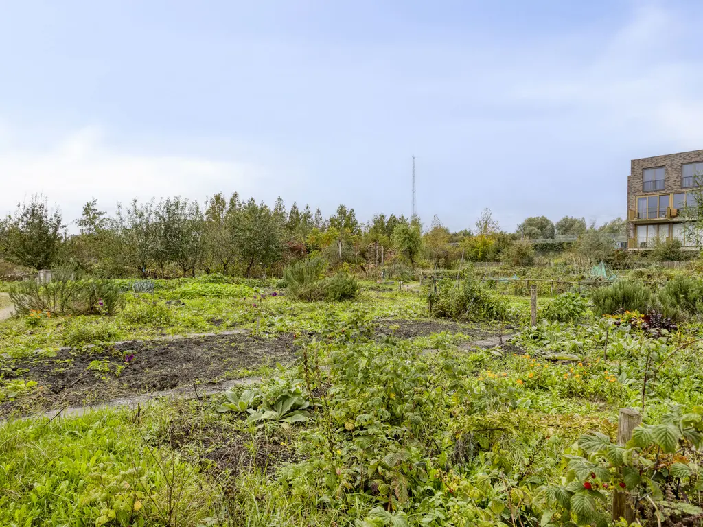 Sumatraweg 234, ALMERE