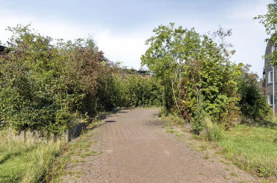 James Cookroute 77