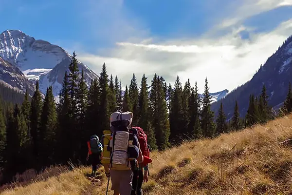 Wat zijn de voordelen van wandelkousen?