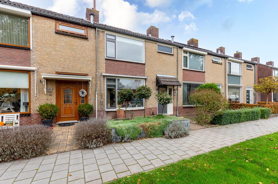 van Brederodestraat 50