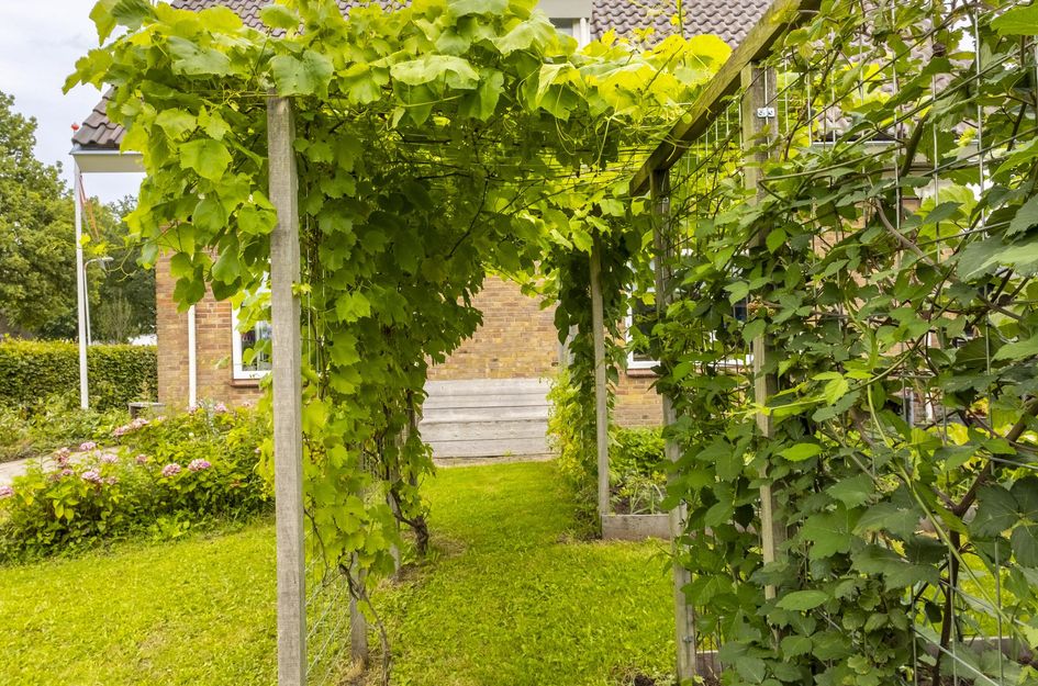 Irenestraat 142