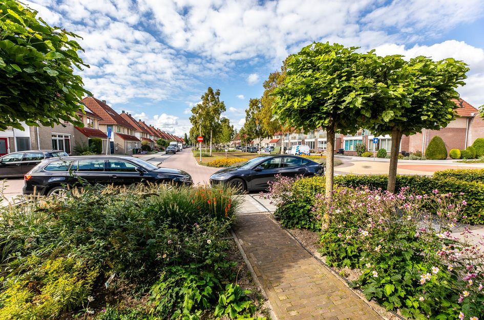 Molenlaan 15