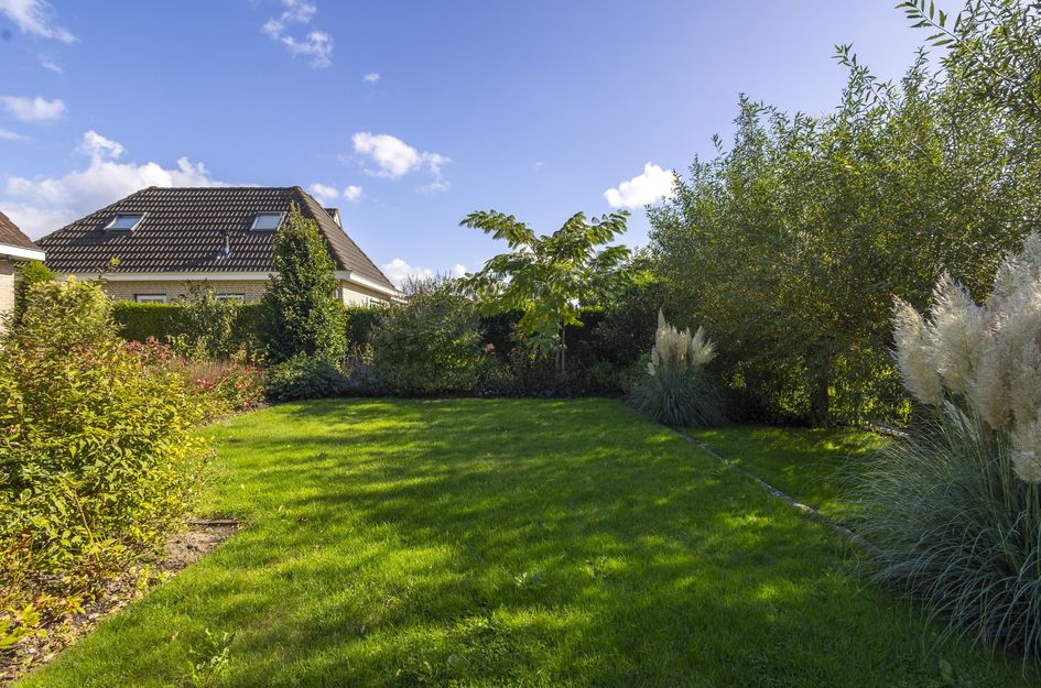 Doetse Vliet 8