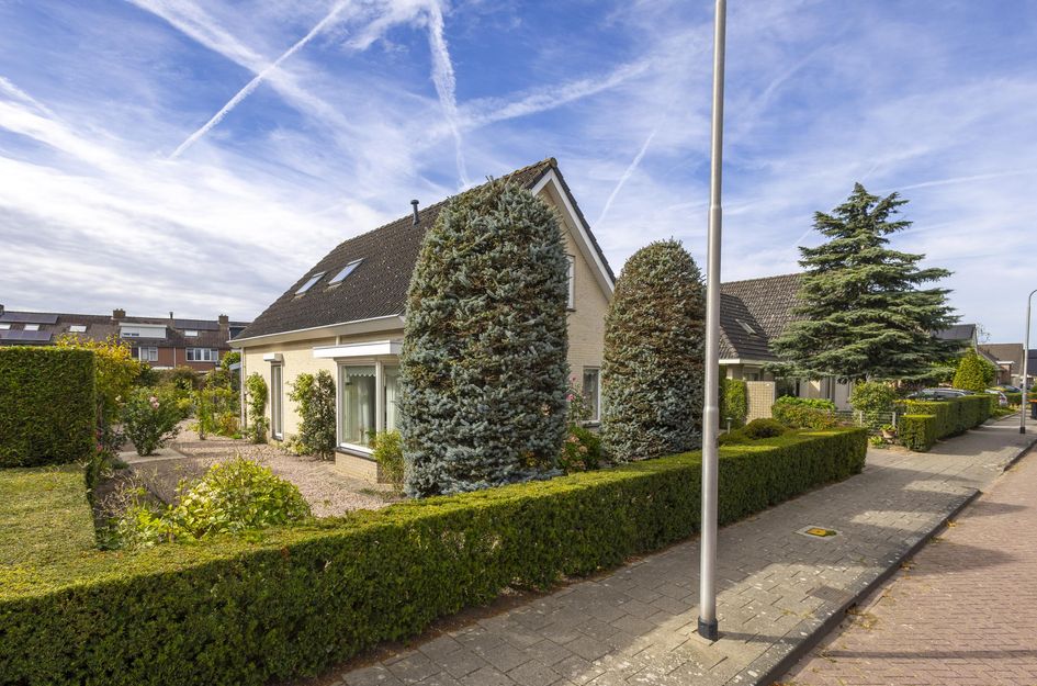 Doetse Vliet 20