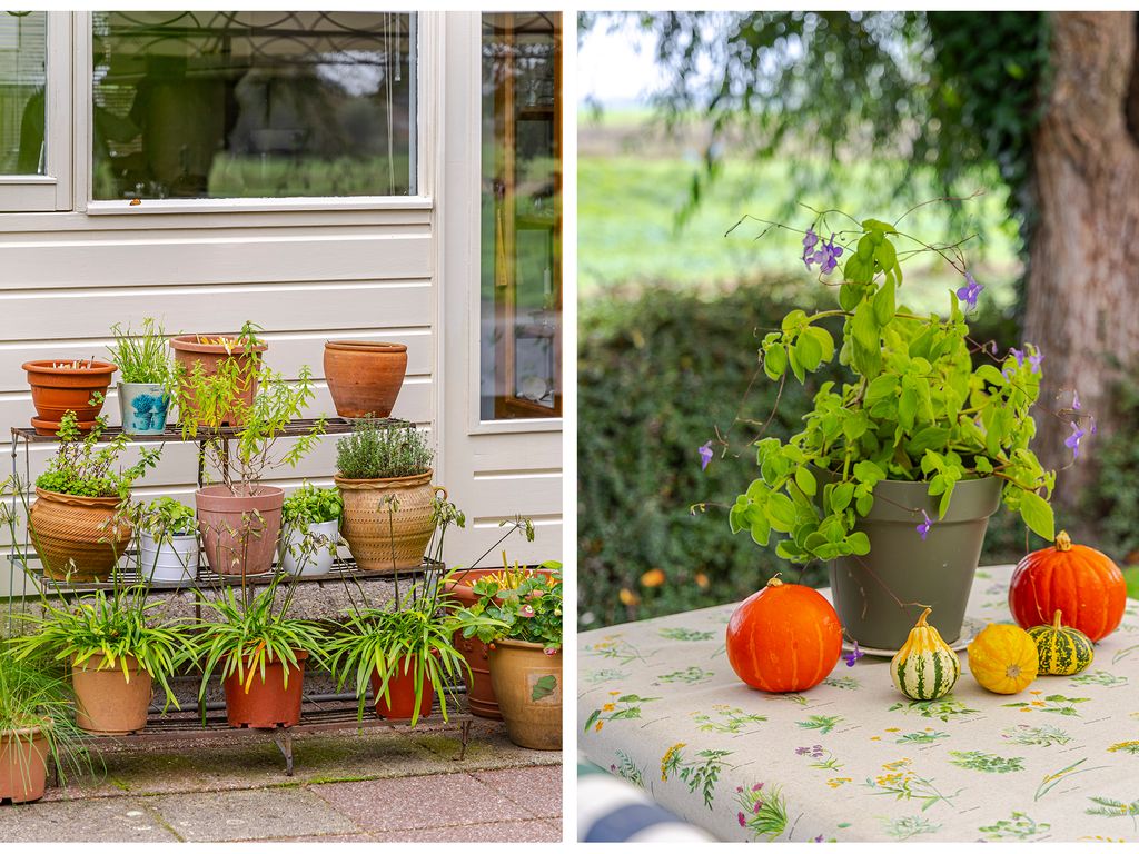 Vuurkruidstraat 28, NIEUWPOORT