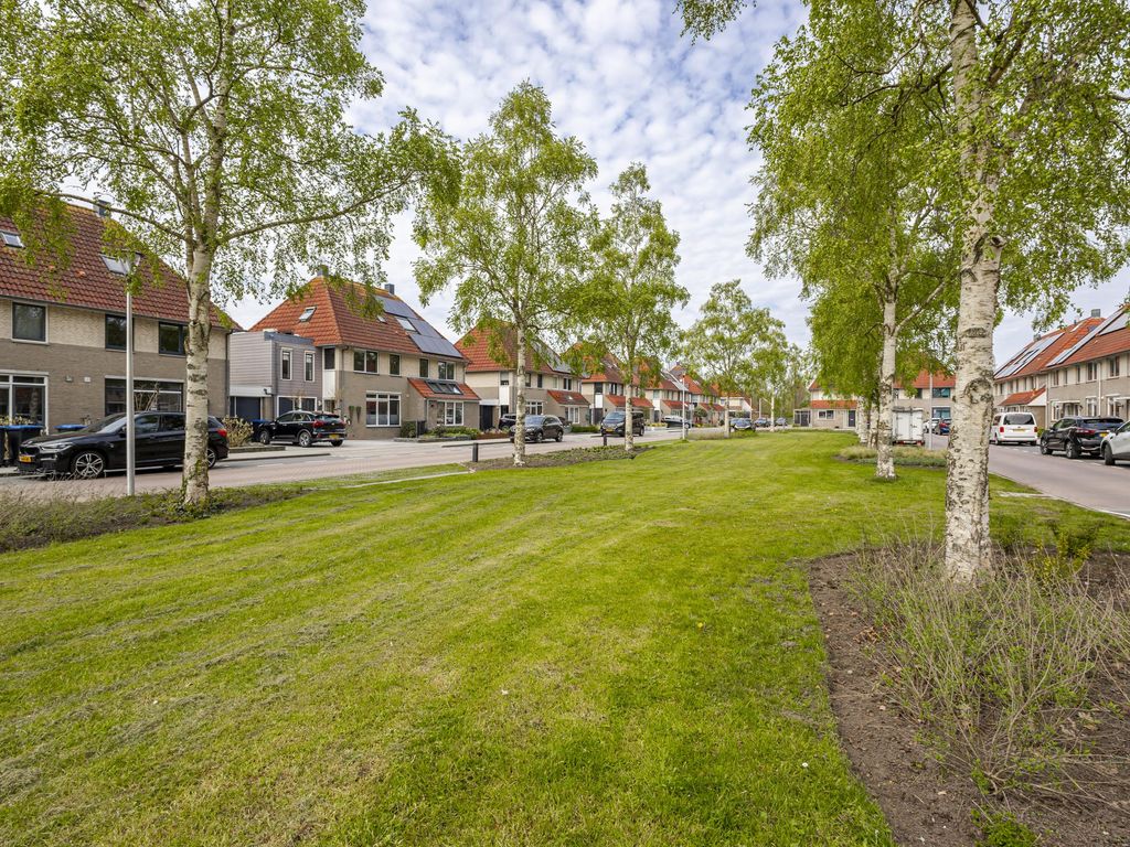 Molenlaan 42, GROOT-AMMERS