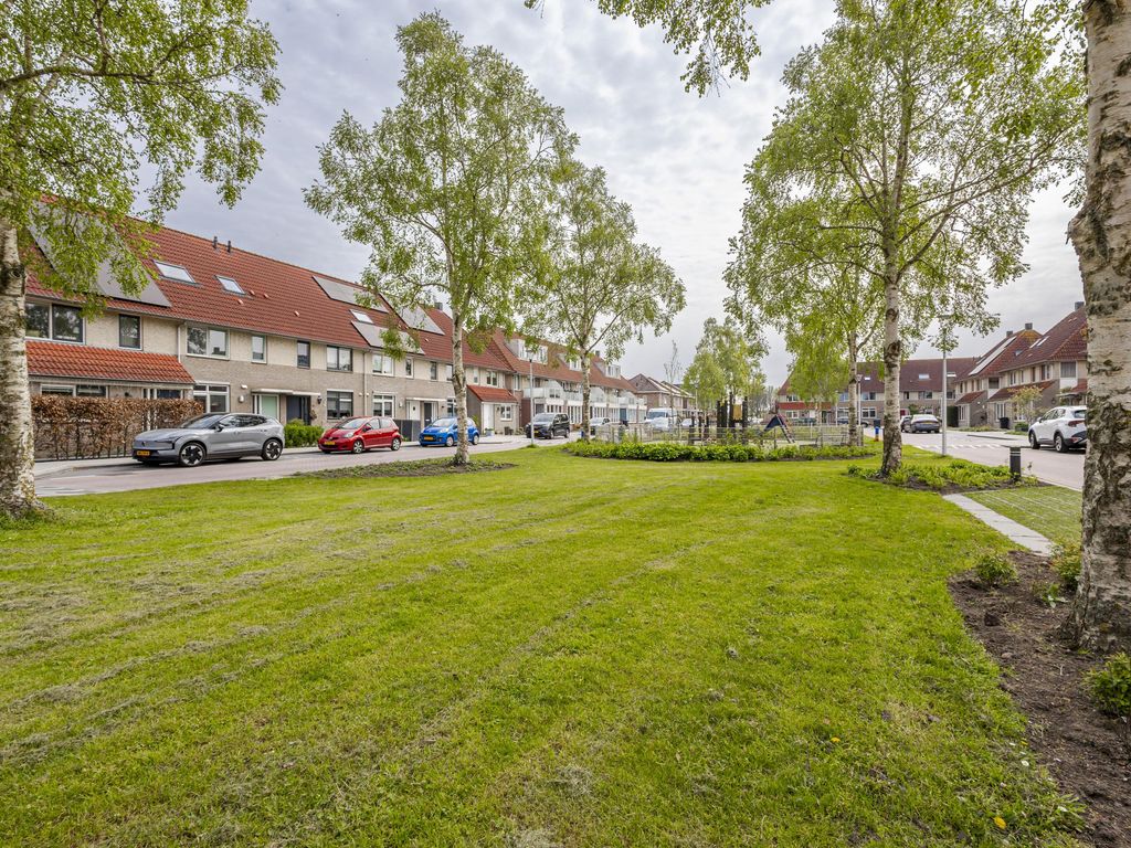 Molenlaan 42, GROOT-AMMERS