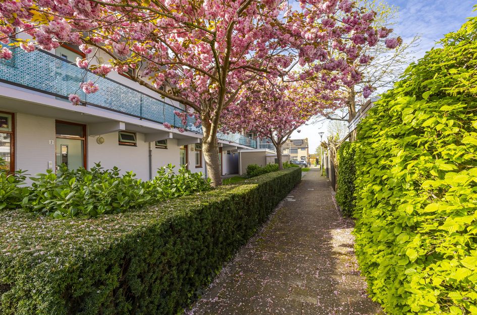 van Brederodestraat 69