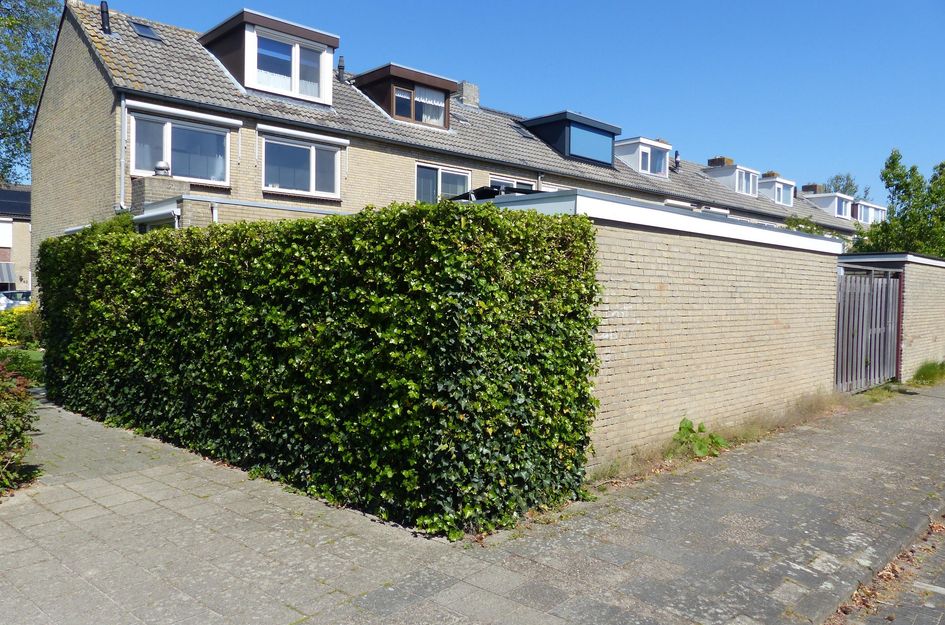 van Brederodestraat 69