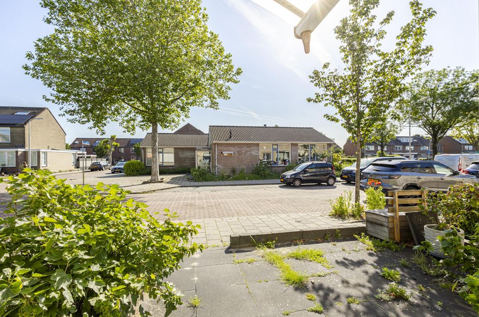 van Brederodestraat 6