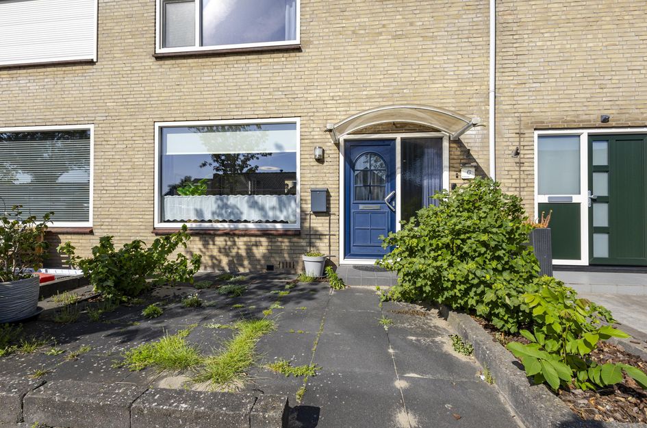 van Brederodestraat 6