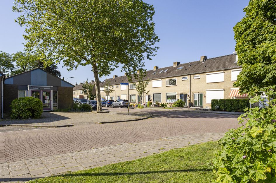 van Brederodestraat 6
