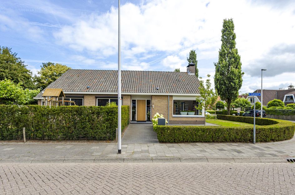 De Griend 1