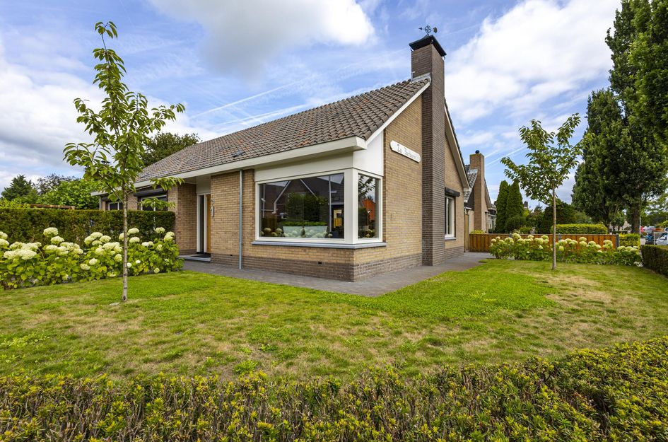 De Griend 1