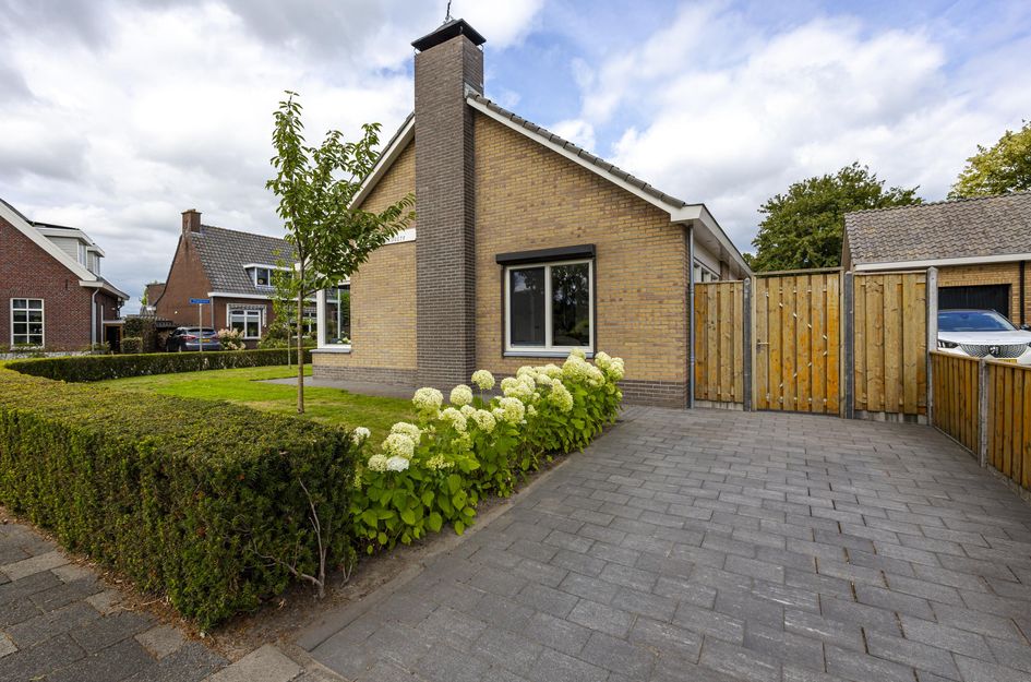 De Griend 1