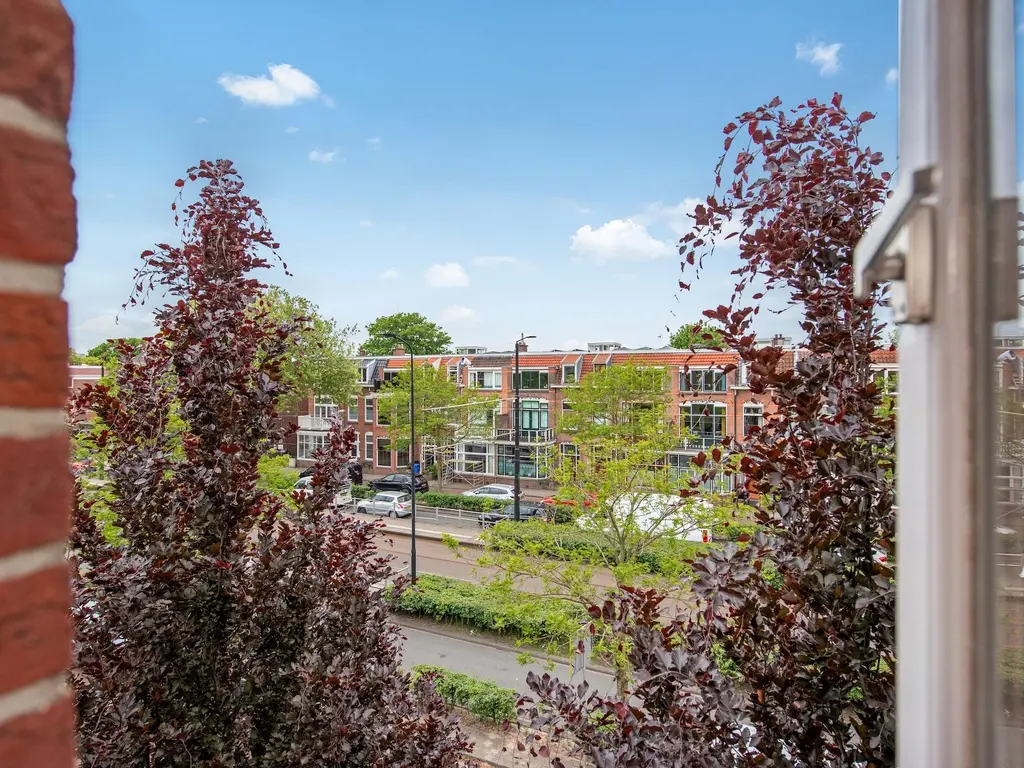 Haagweg 183, RIJSWIJK