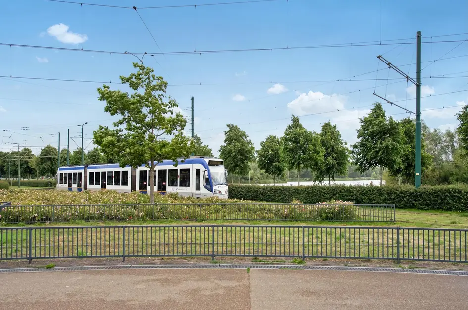 Vuursteen 31
