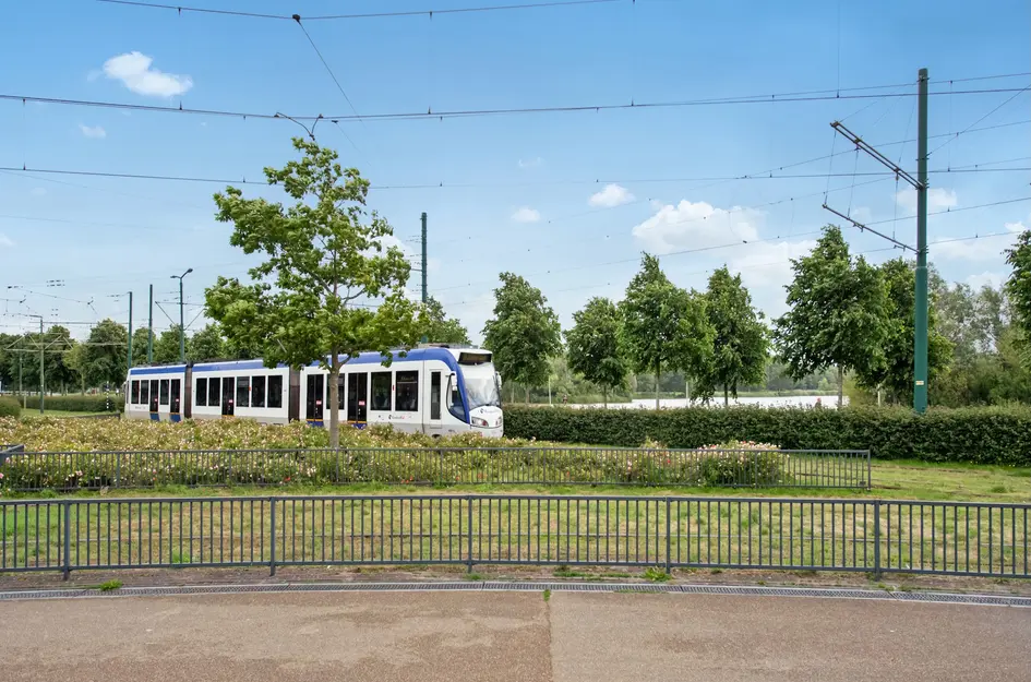 Vuursteen 31