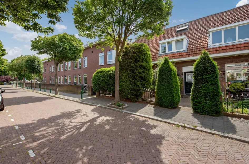 Olmstraat 3